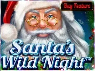 Santa’s Wild Night thumbnail