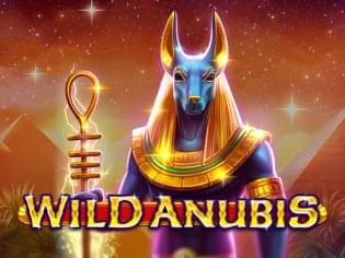 Wild Anubis thumbnail